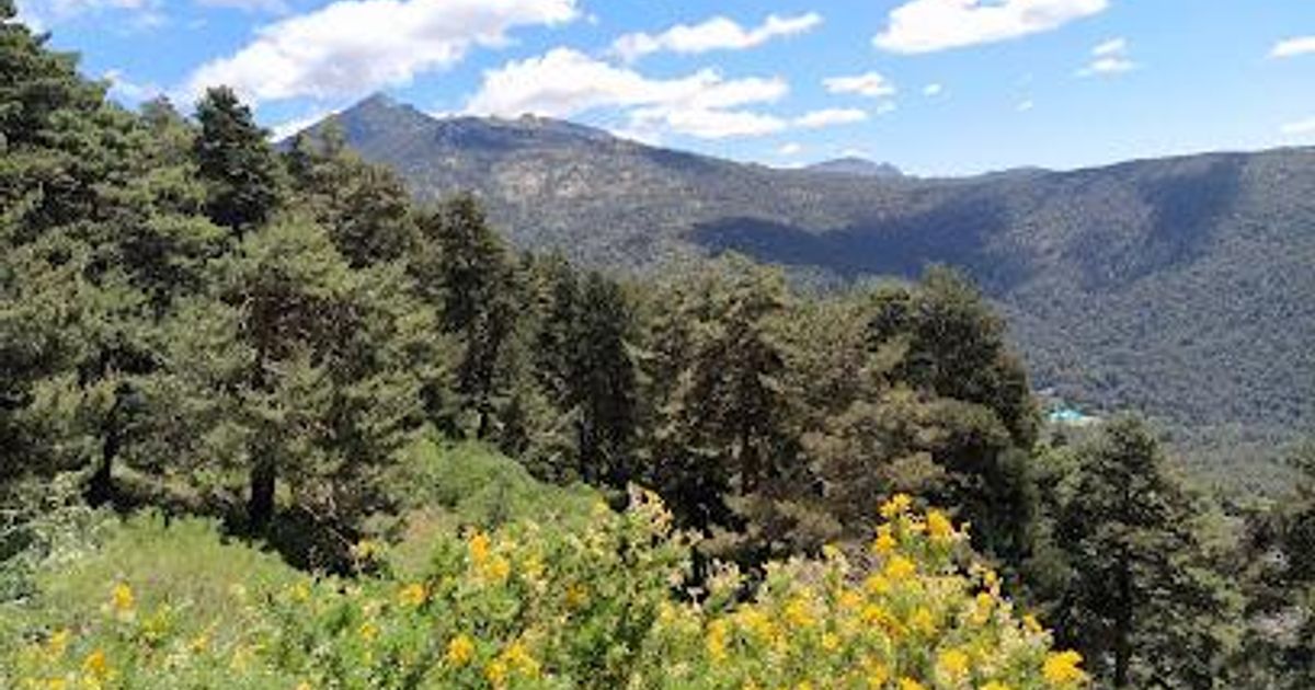Cercedilla Travel Guide | Evendo
