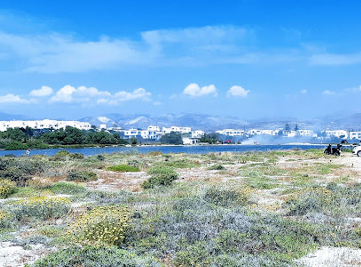 Background