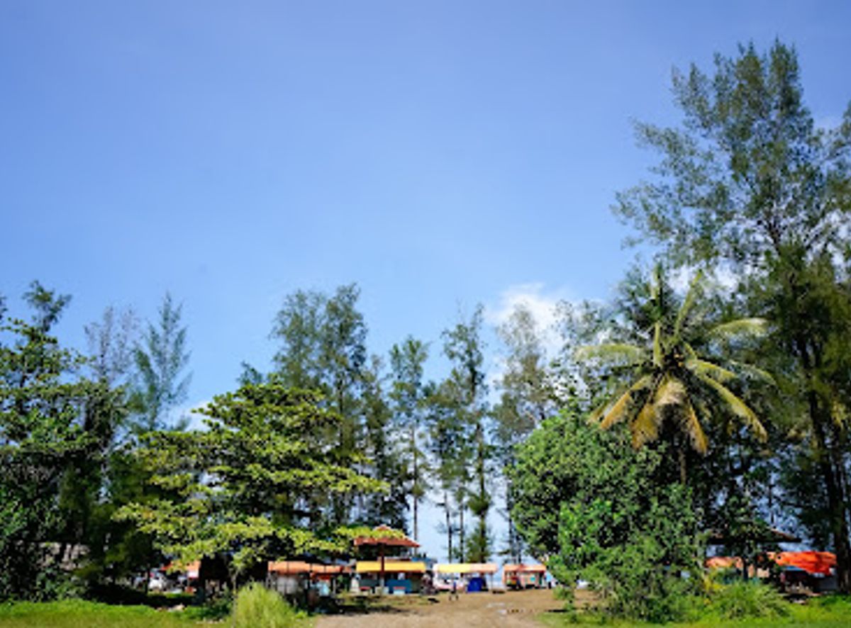 Background