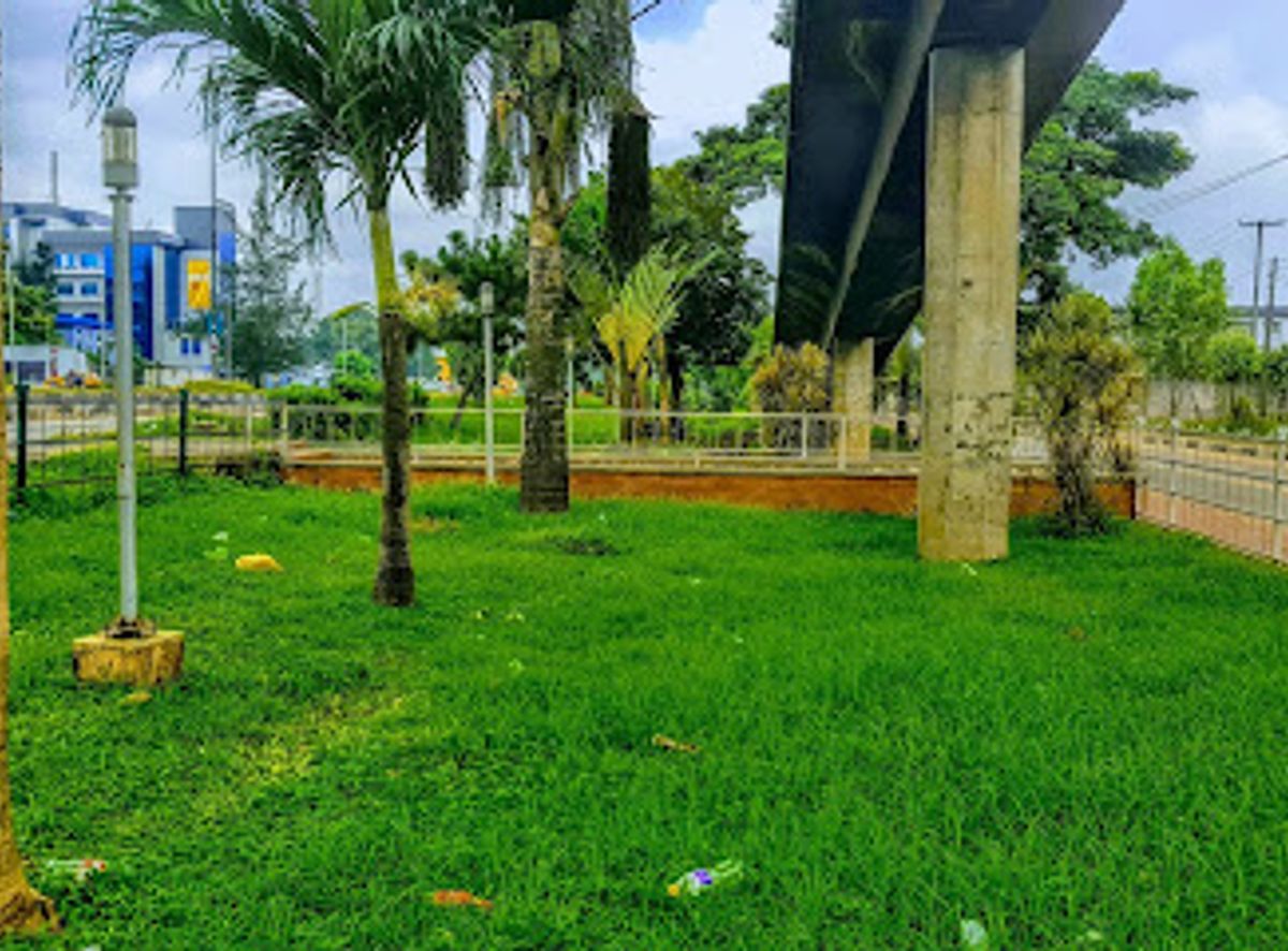 Background