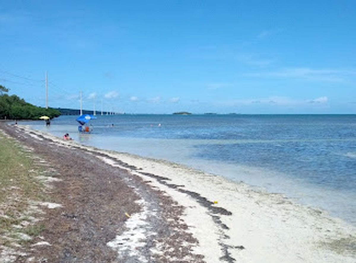 Discover the Wonders of Windley Key Fossil Reef Geological State Park