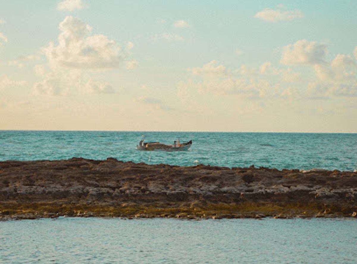Background