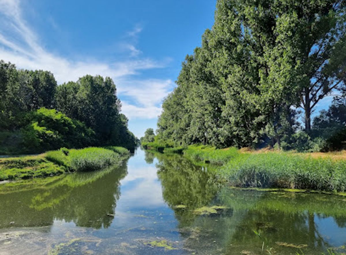 Background