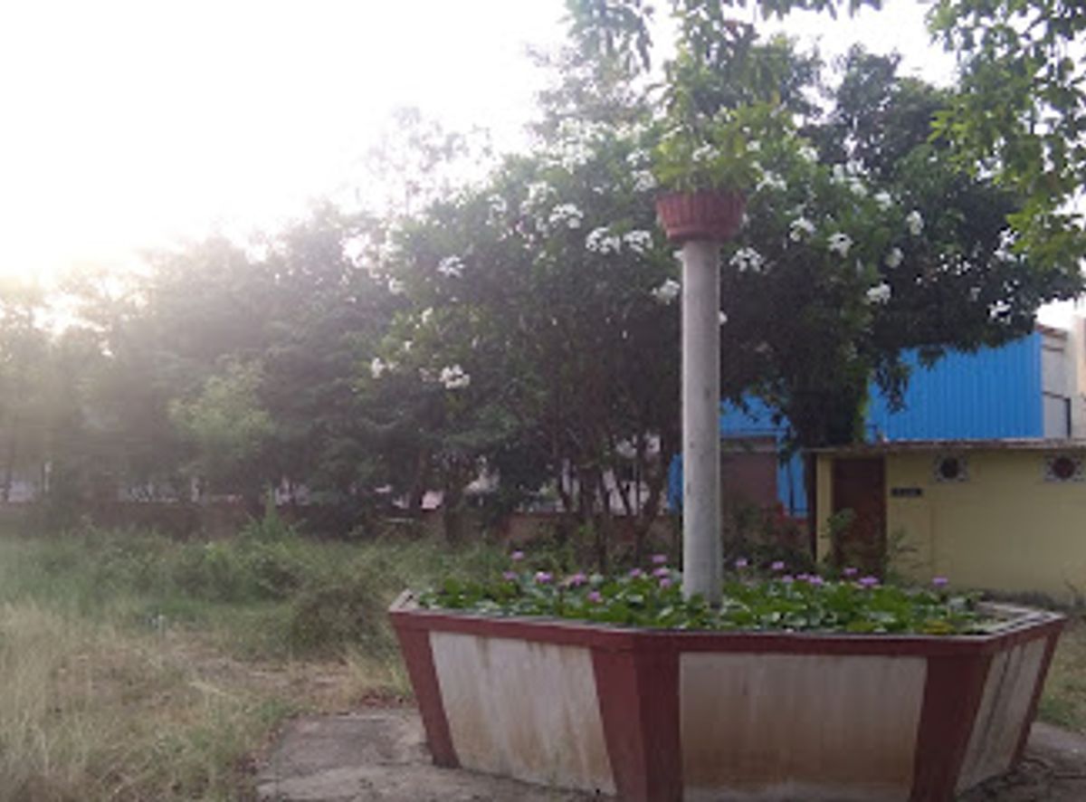 Background
