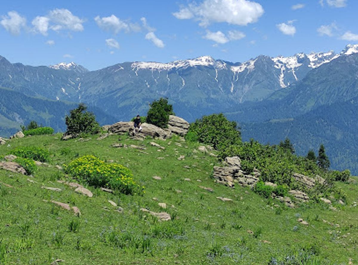 Background