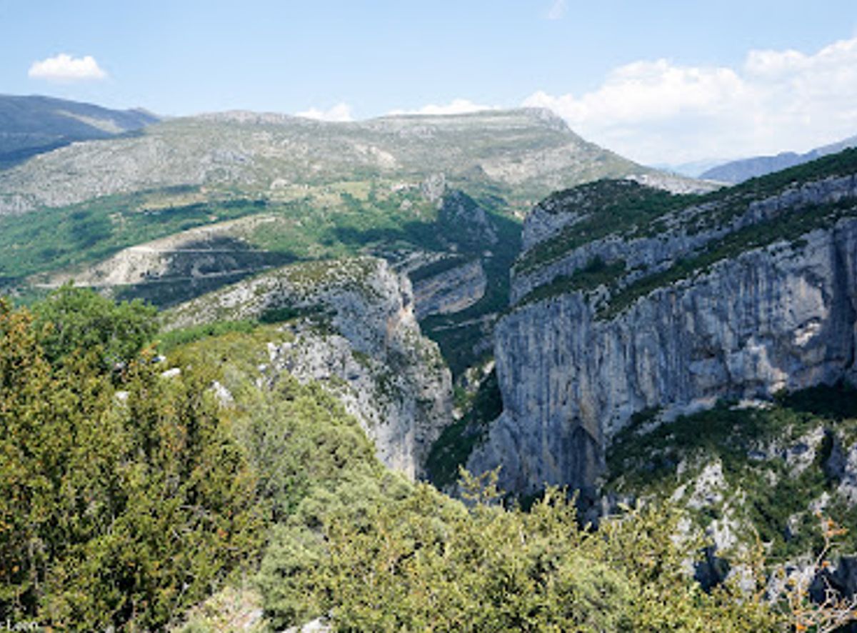 Background