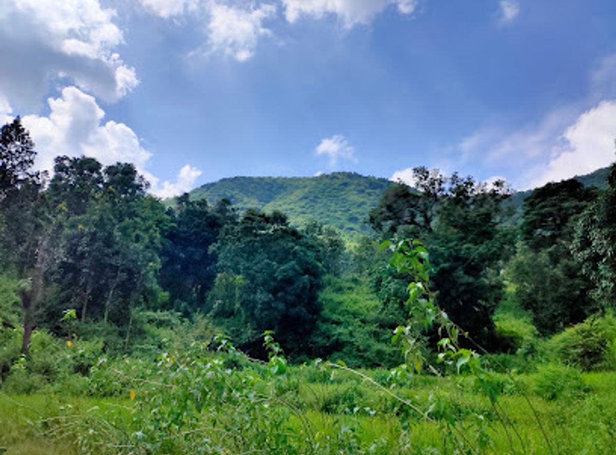 Background