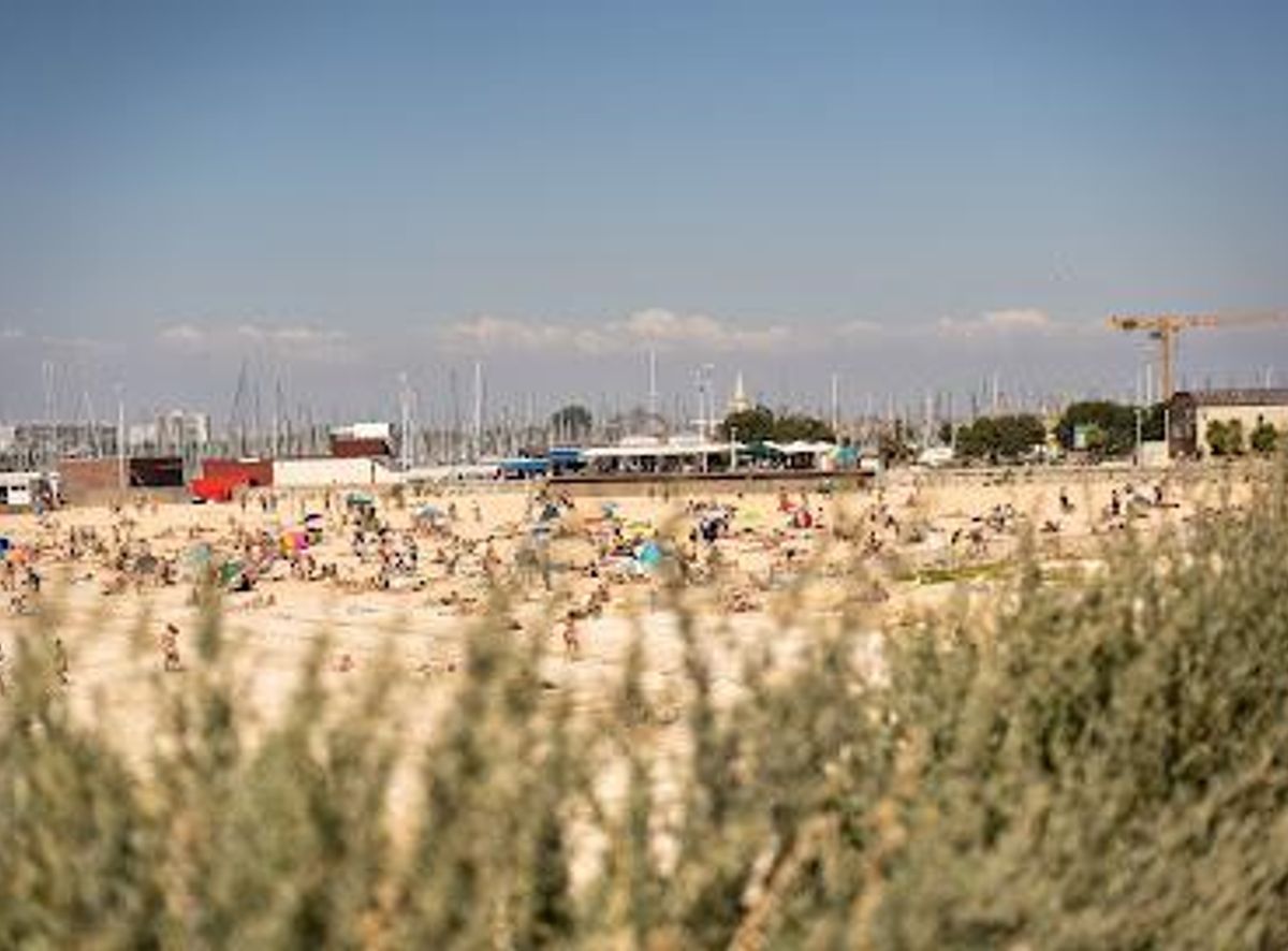 Background
