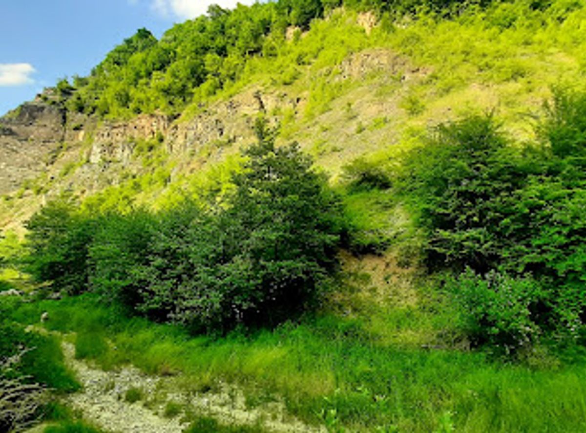 Background