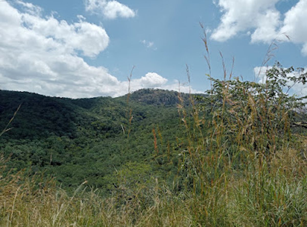 Background