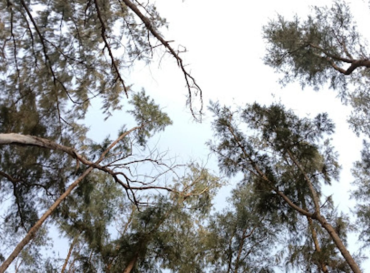 Background