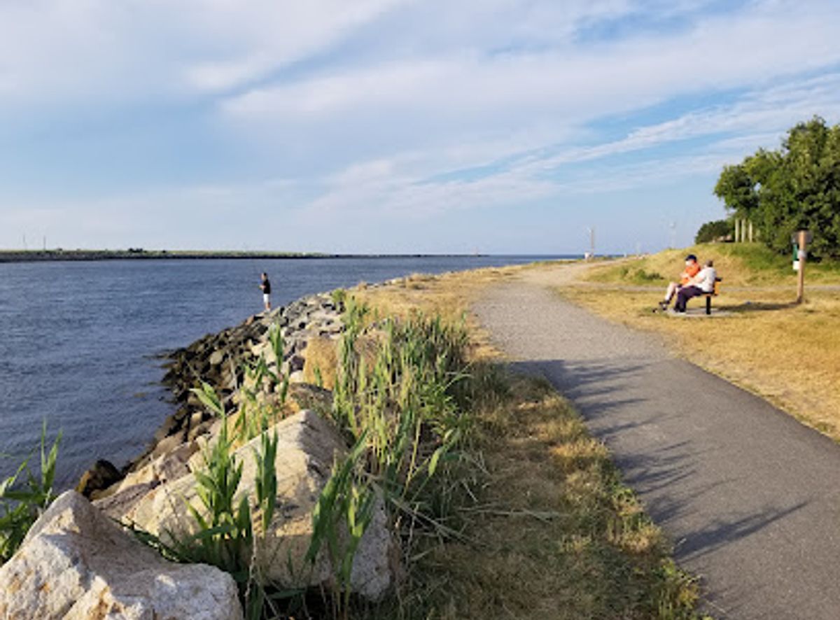 Background