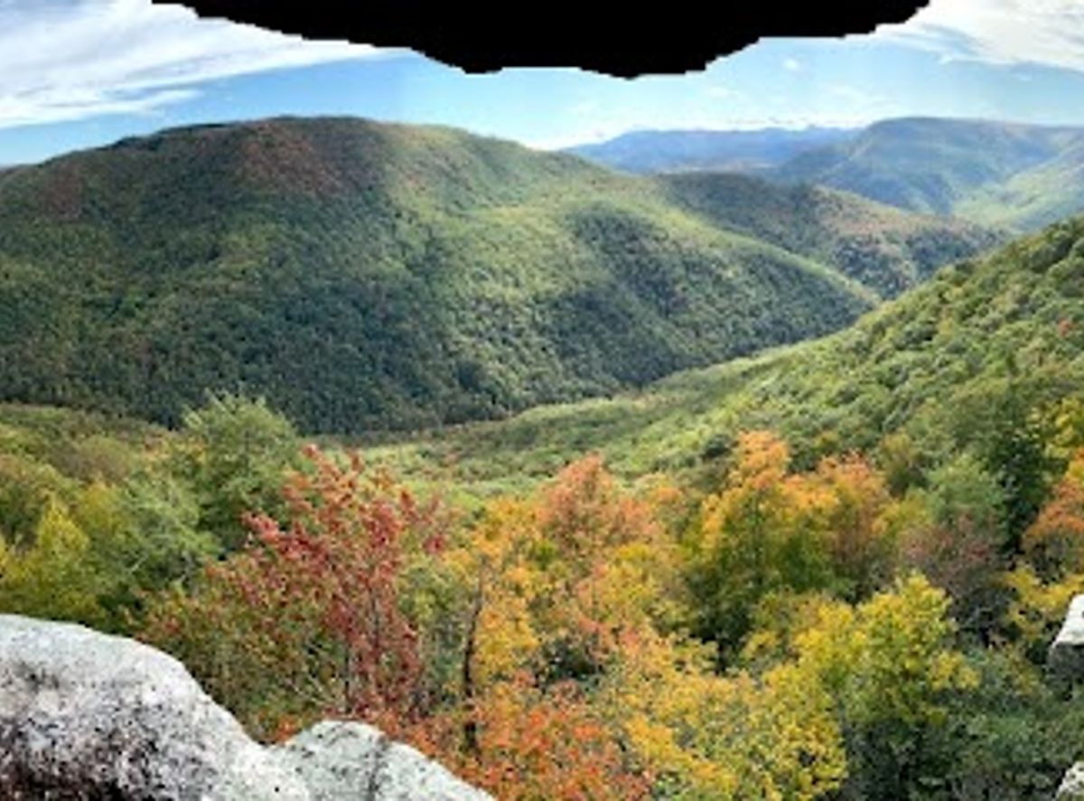 Background