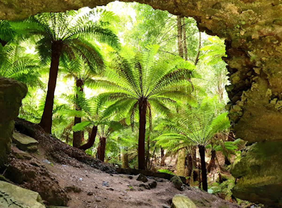 Background