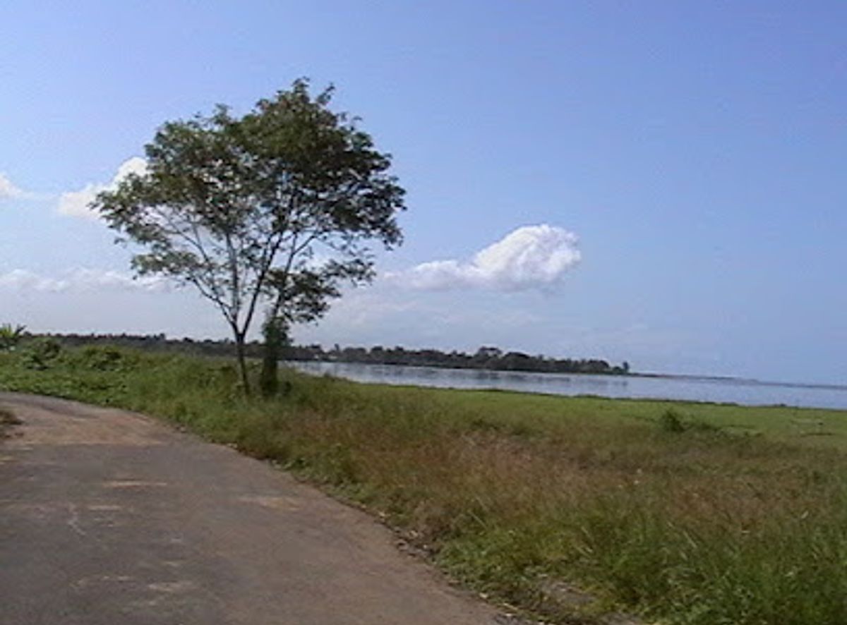 Background