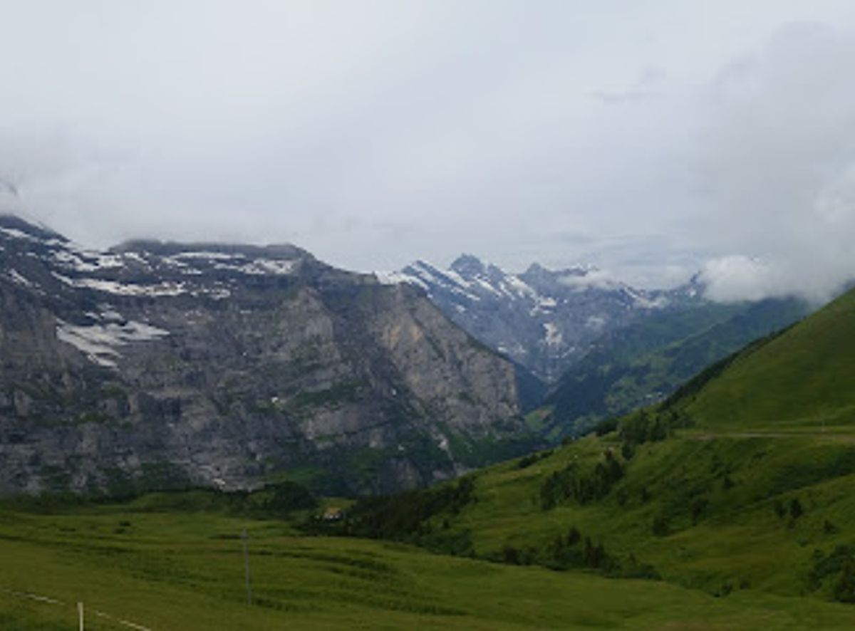 Background