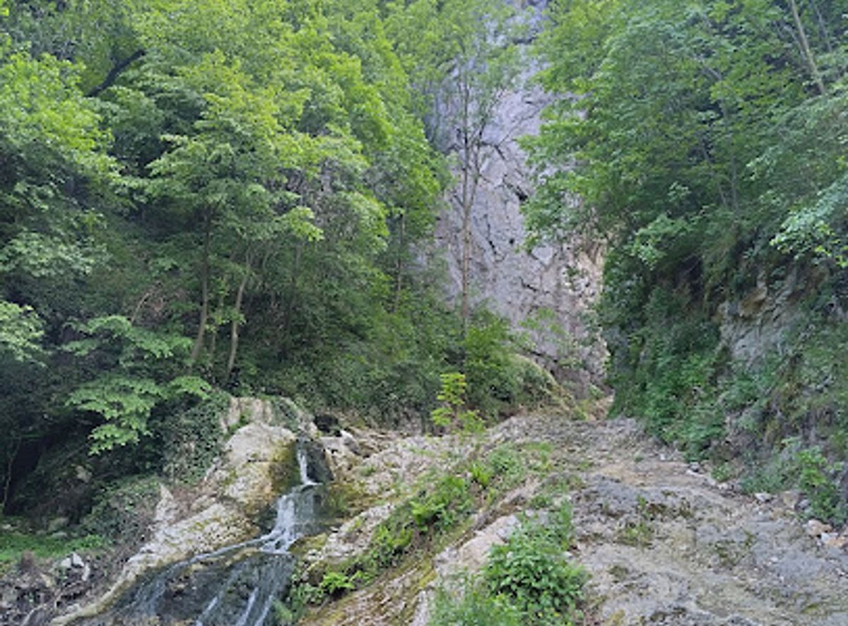 Background
