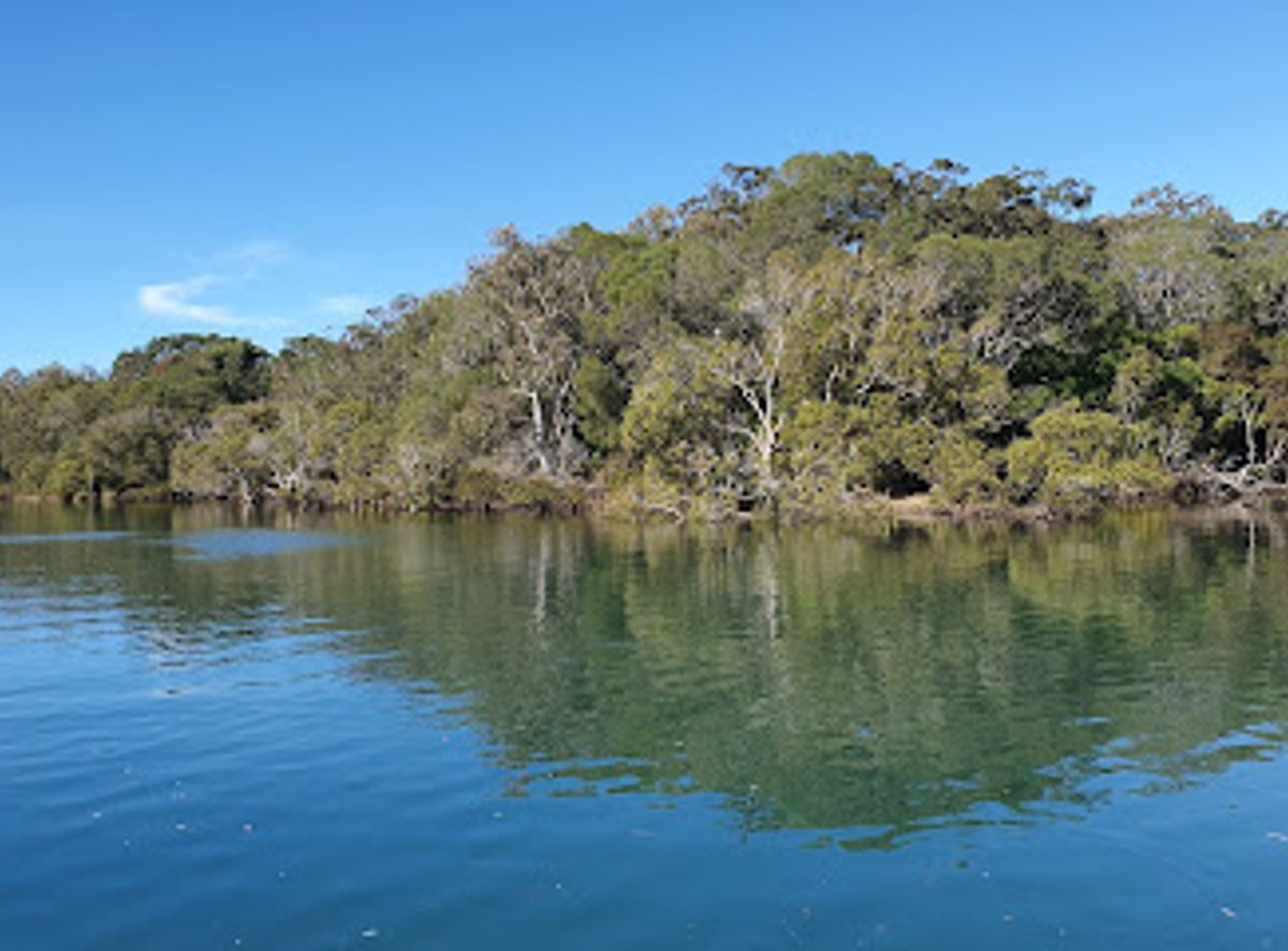Background