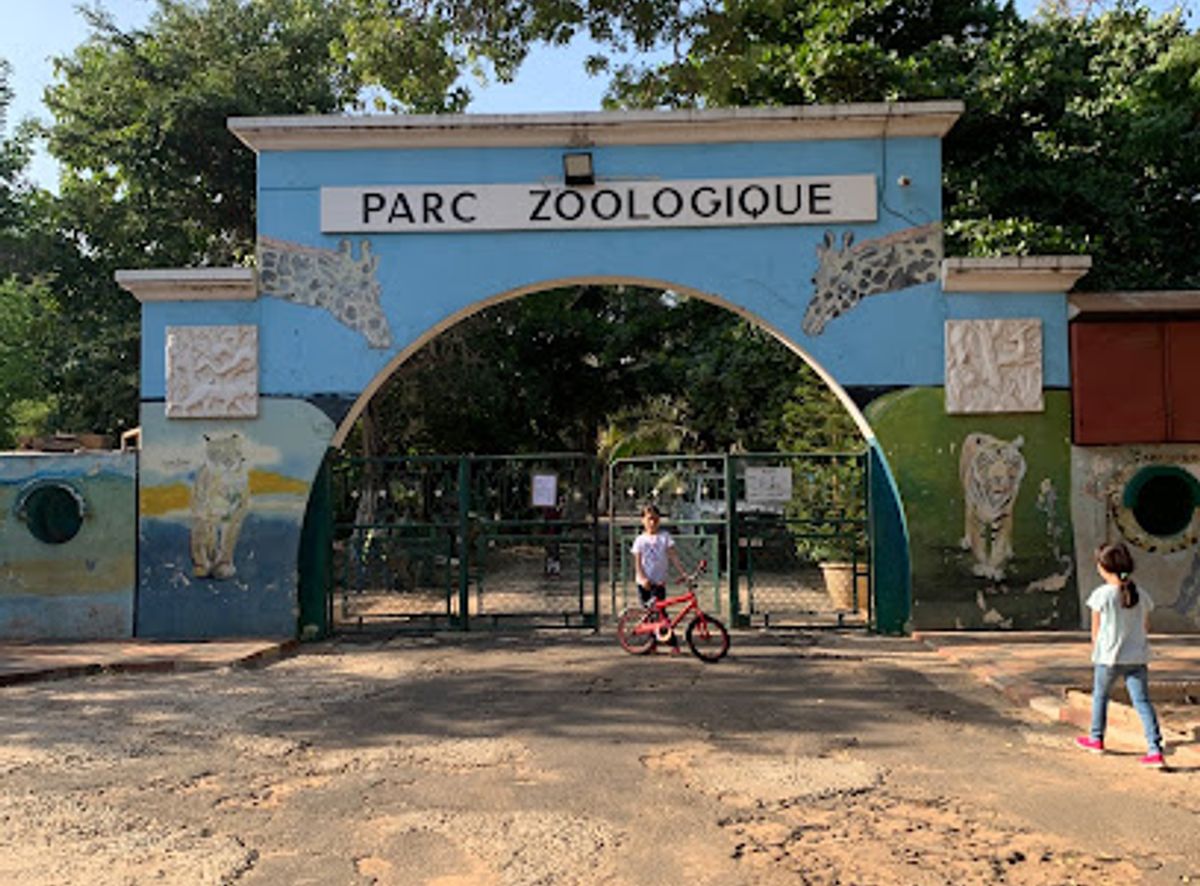 Background