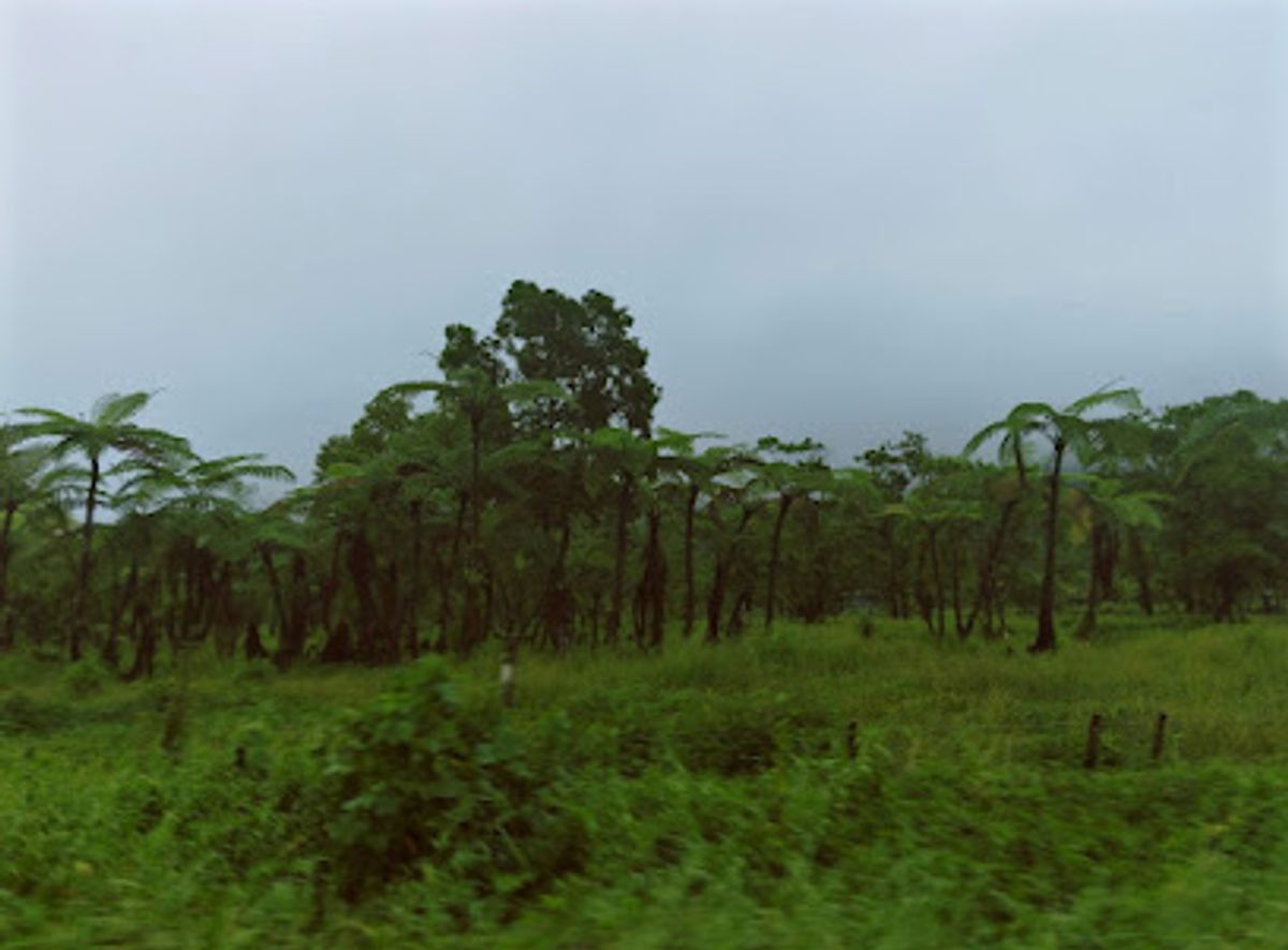 Background