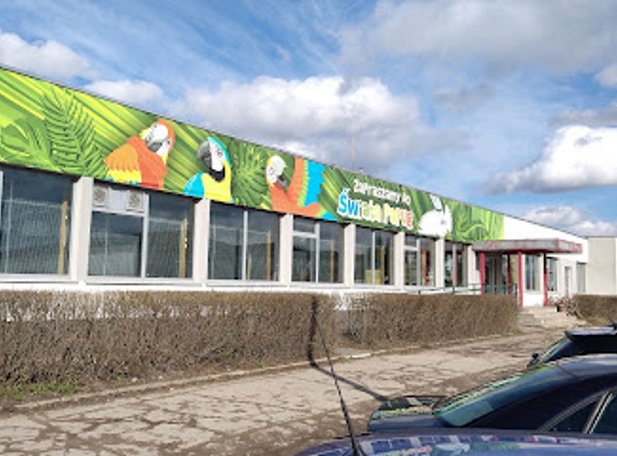Background