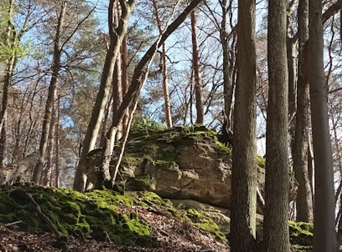 Background