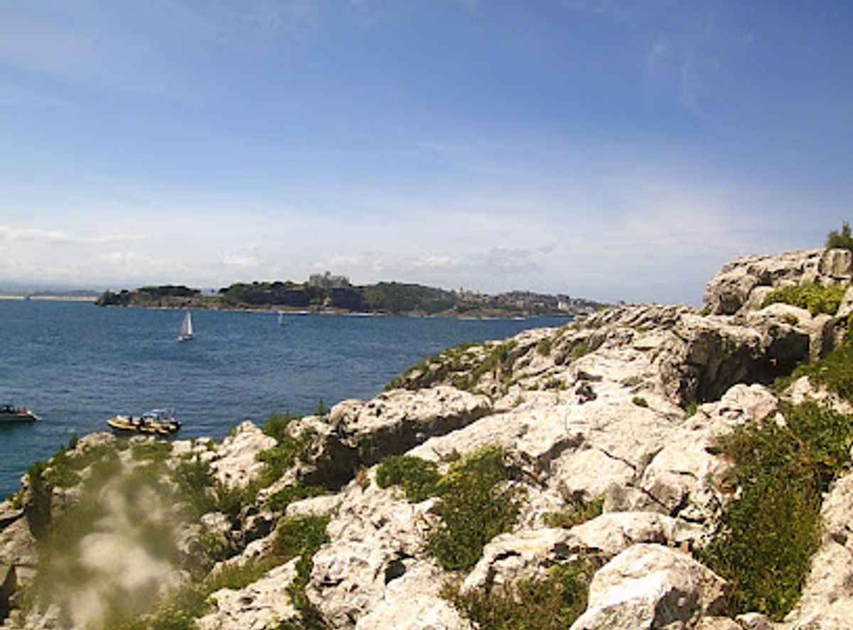 Background