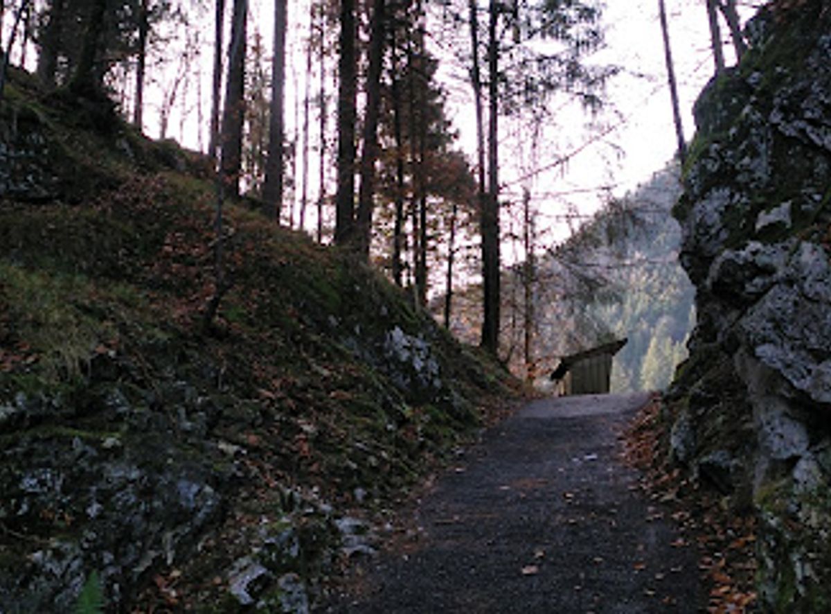 Background