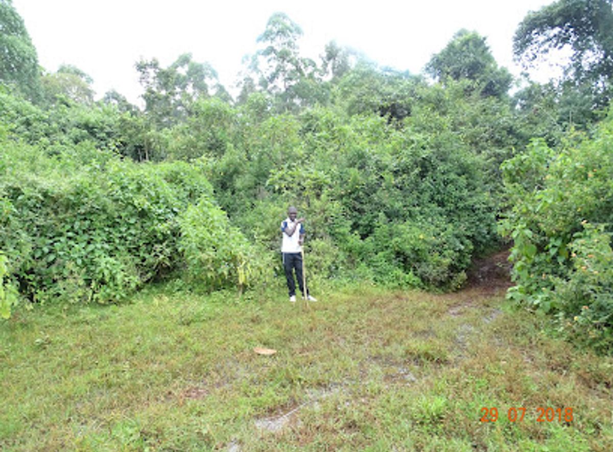 Background