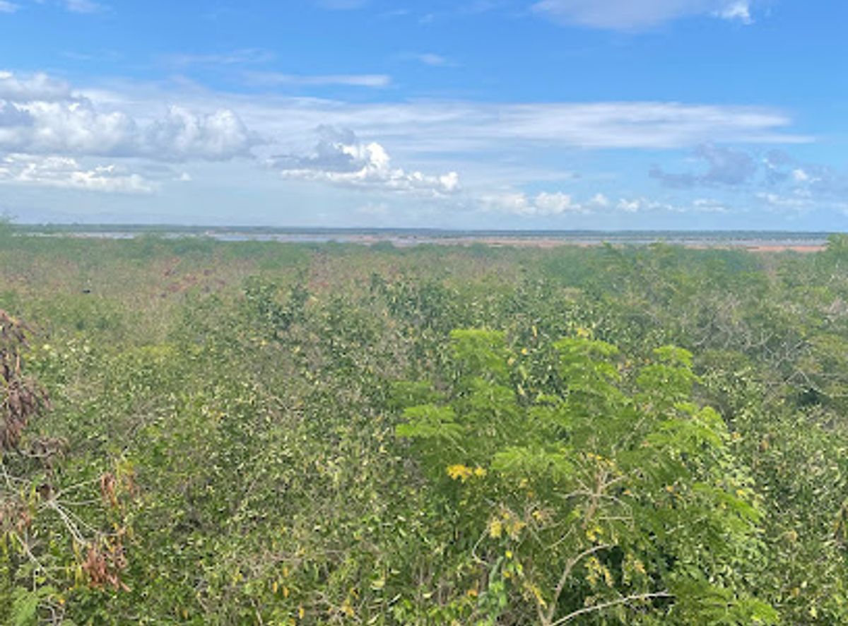 Background