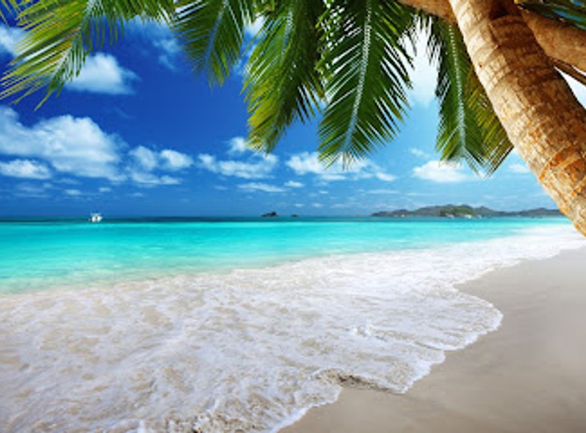 Background