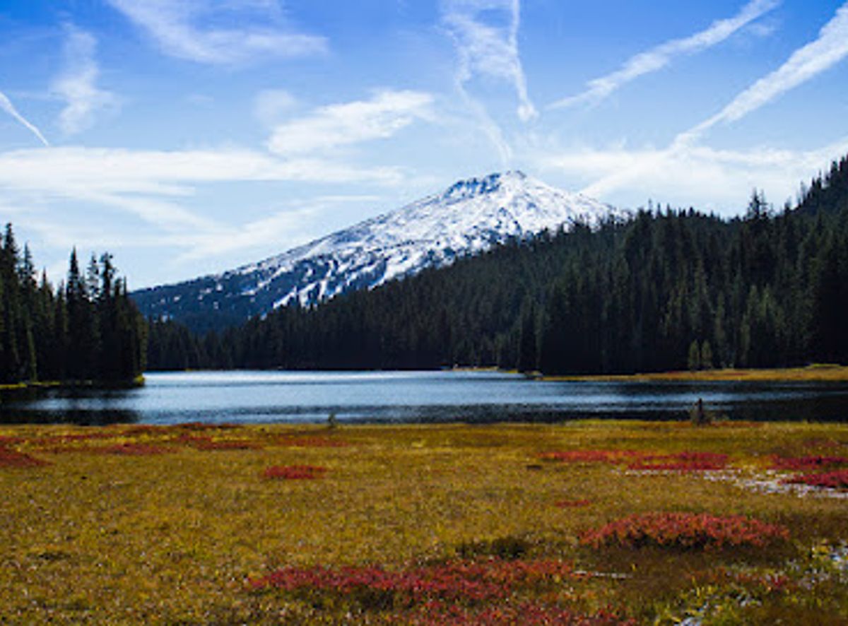 Background