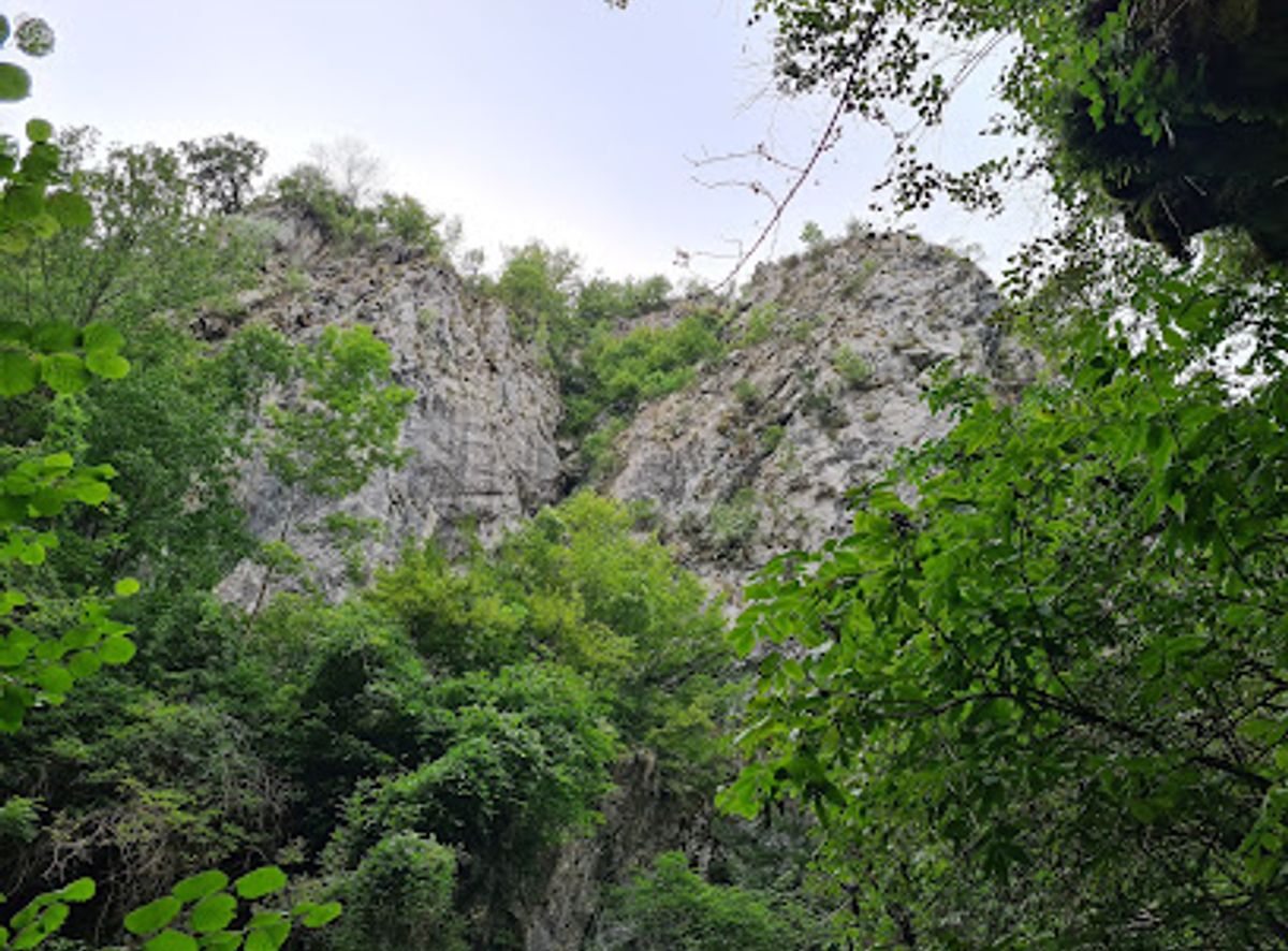 Background