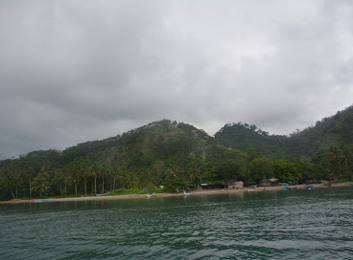 Background