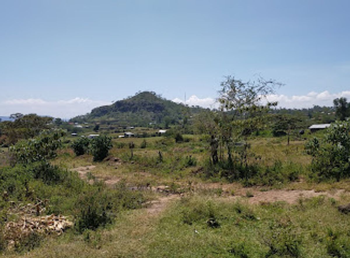 Background