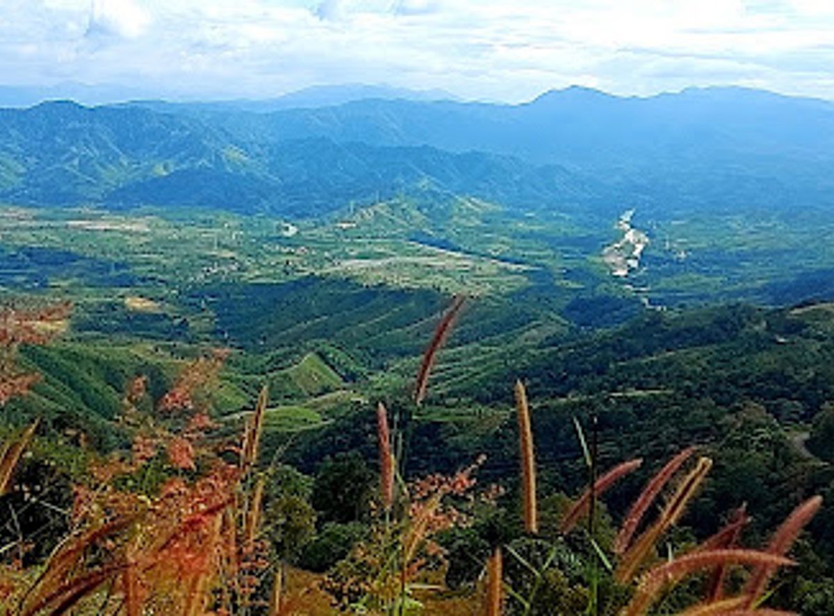 Background