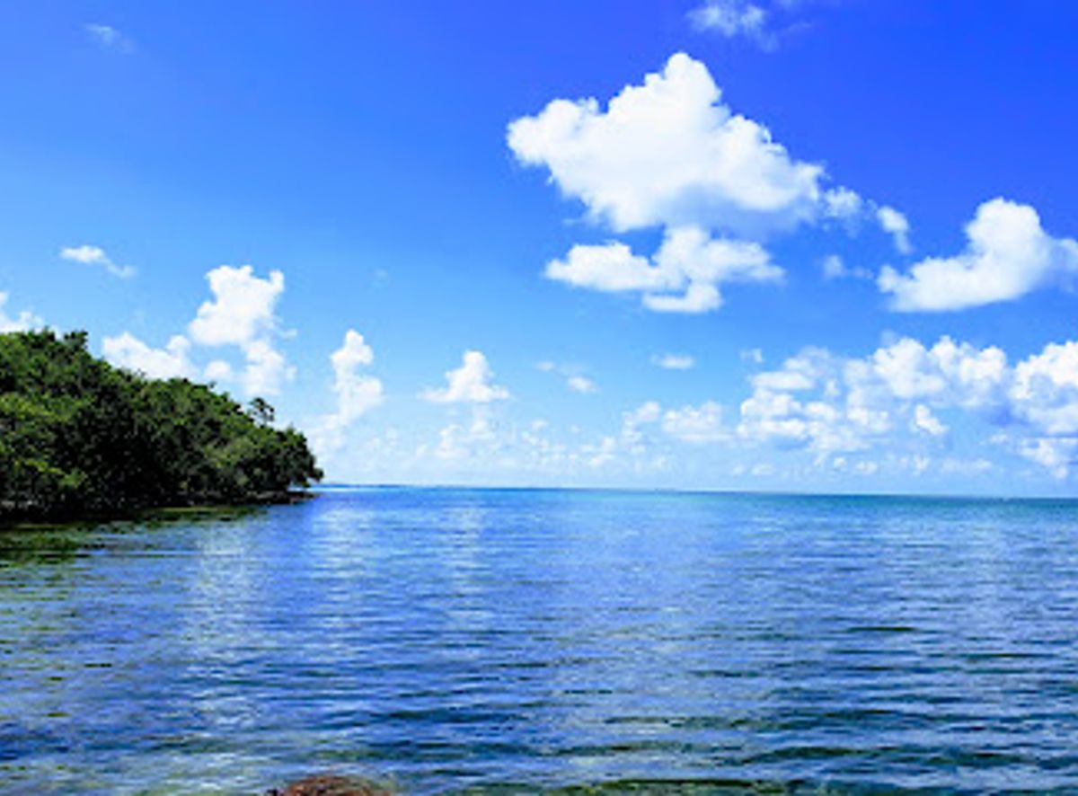 Background