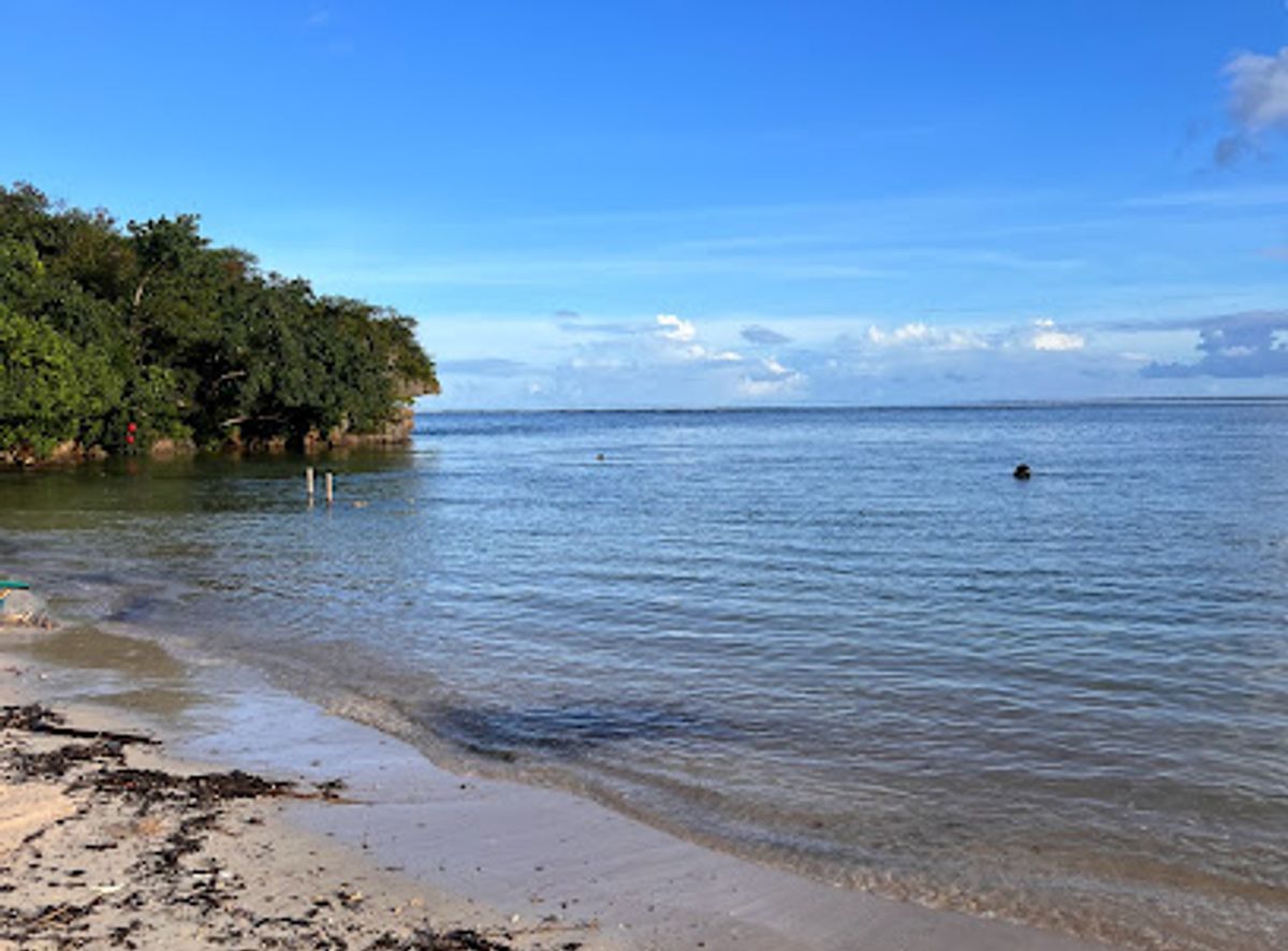 Background