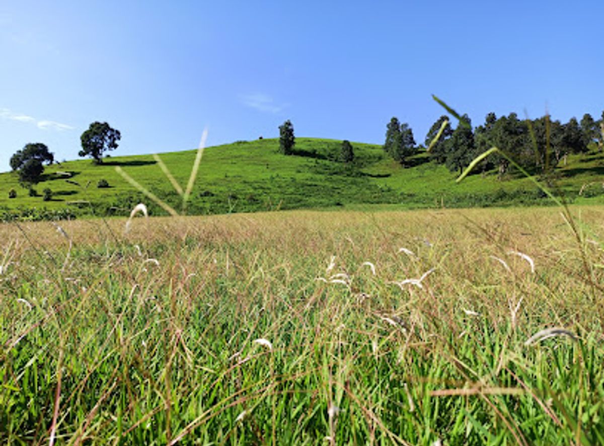 Background