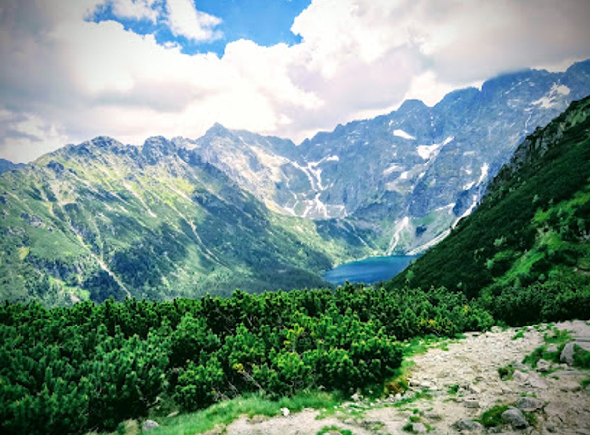 Background