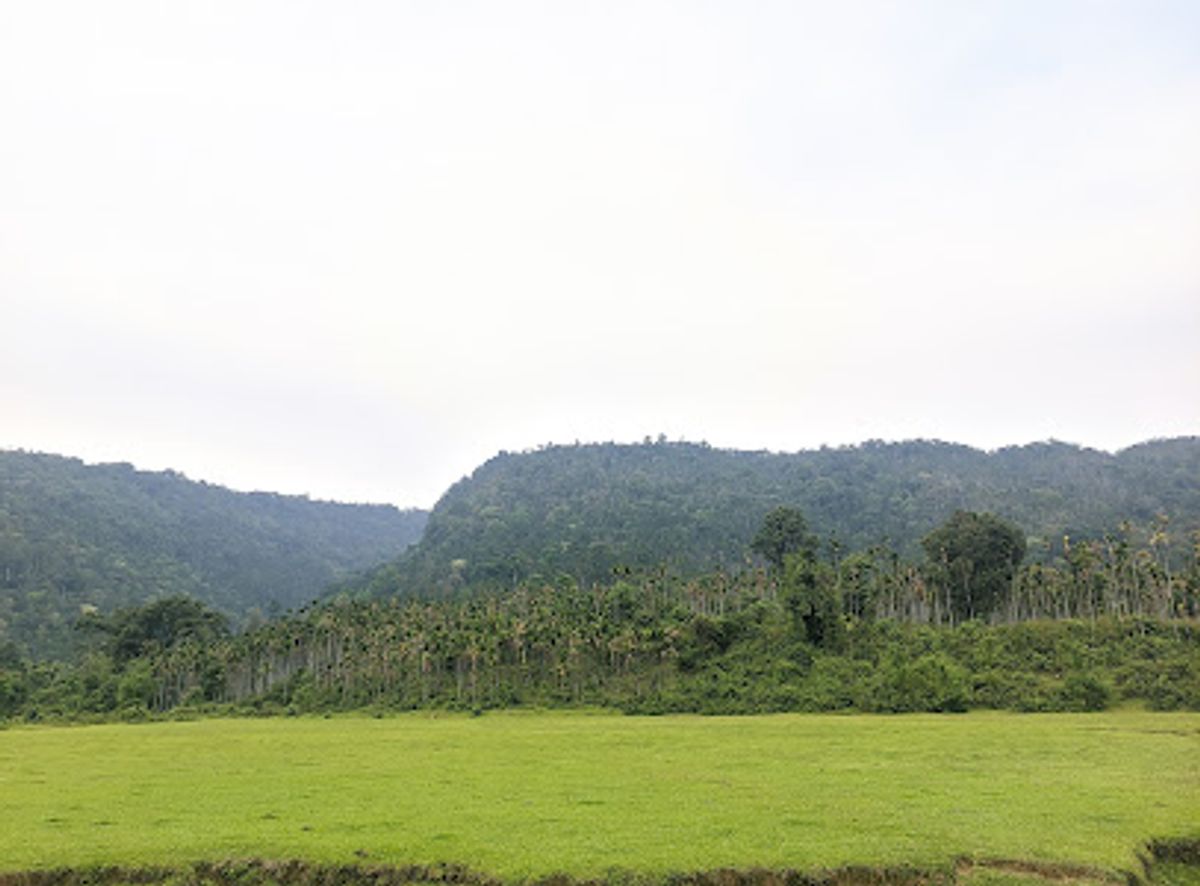 Background