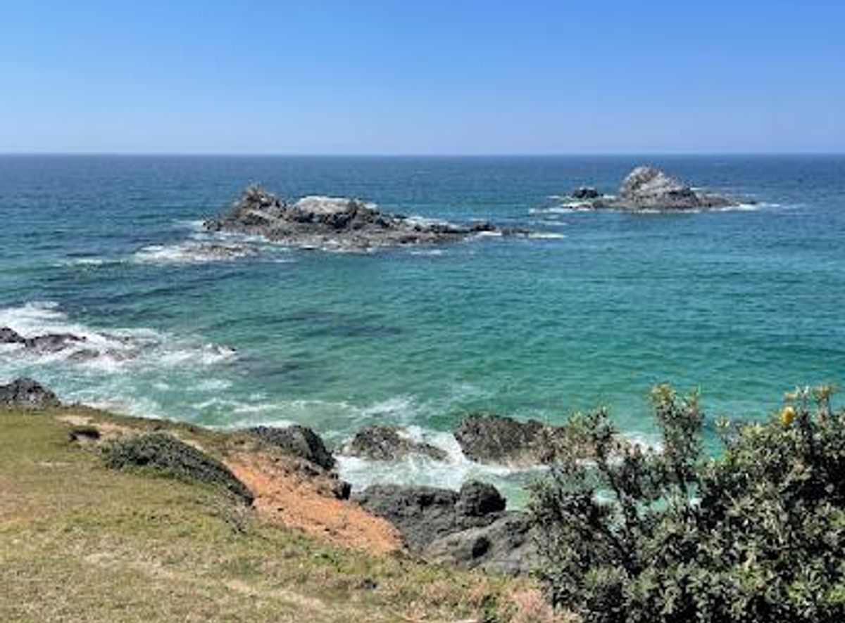 Background