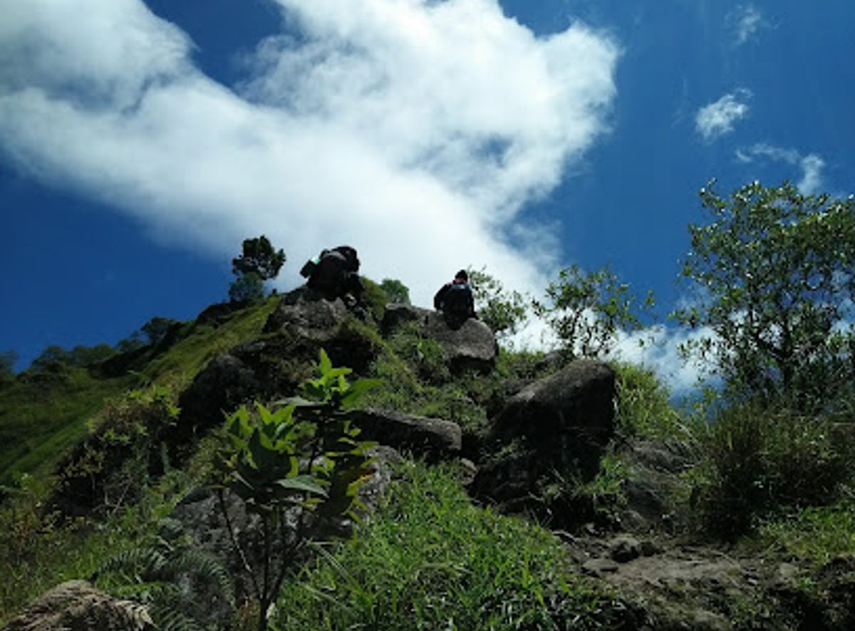 Background
