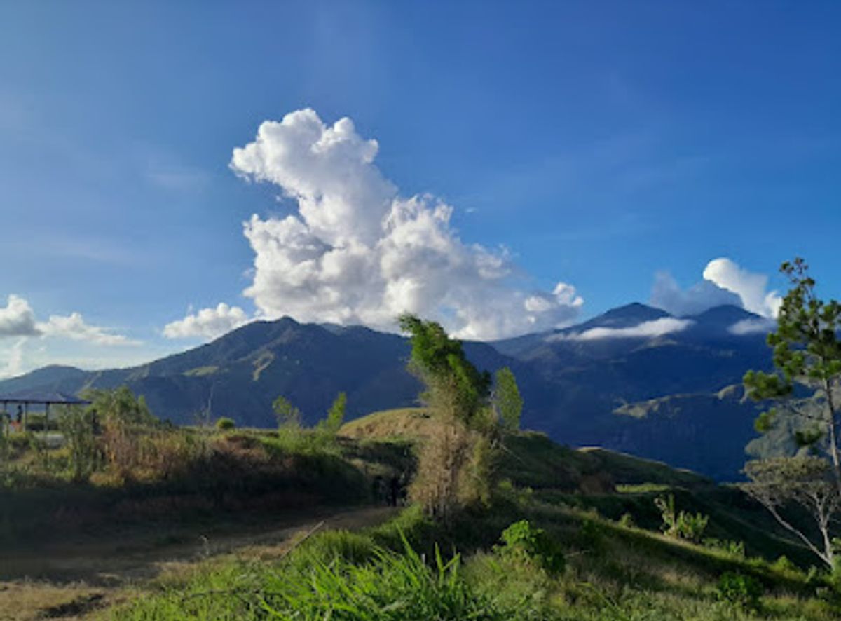 Background