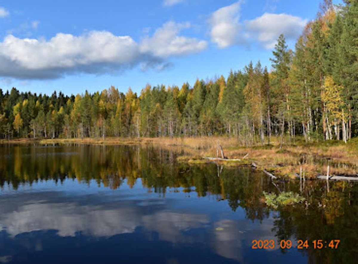 Background