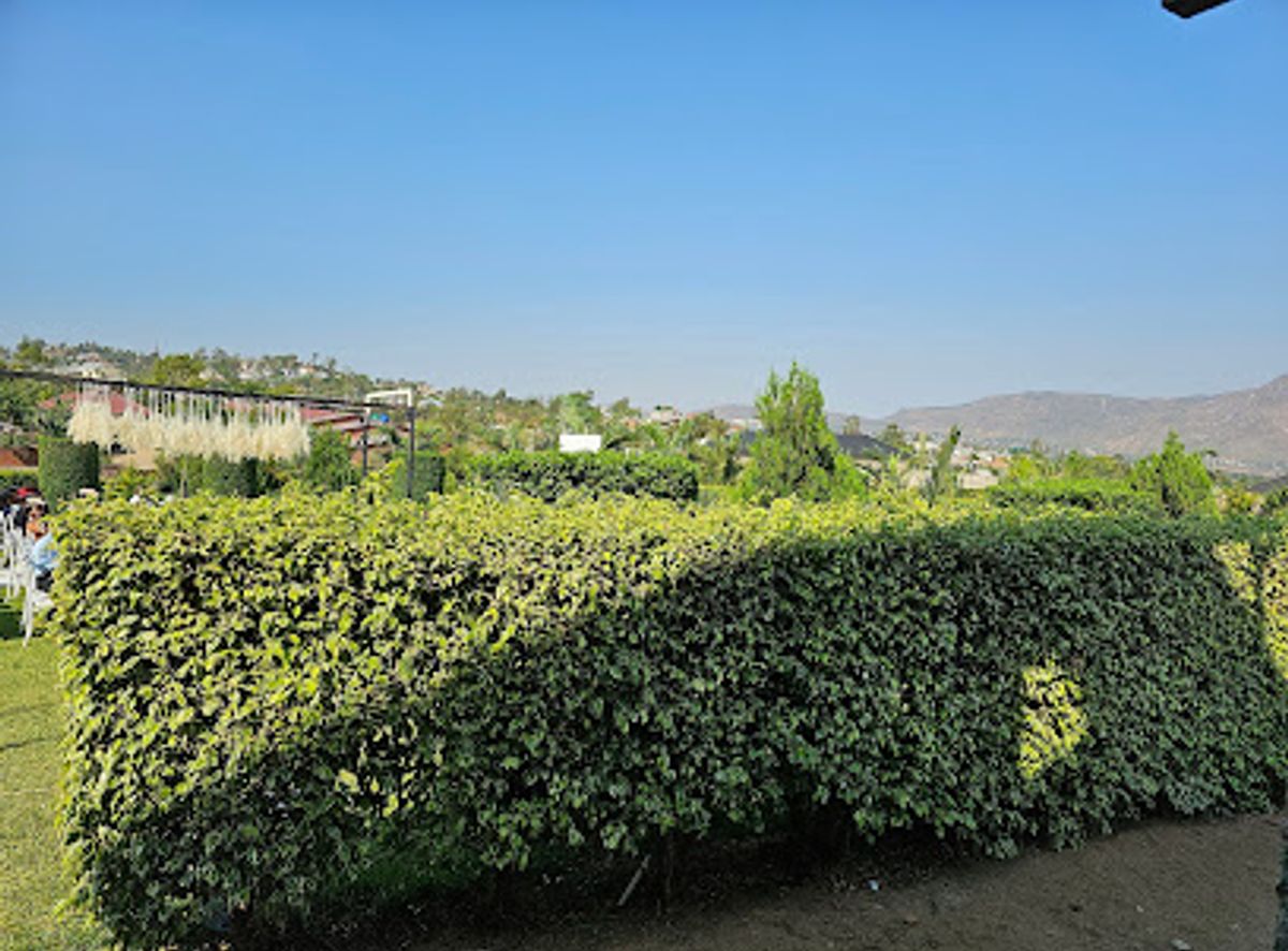 Background