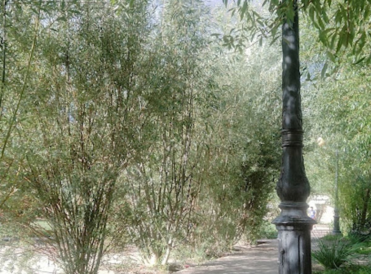 Background