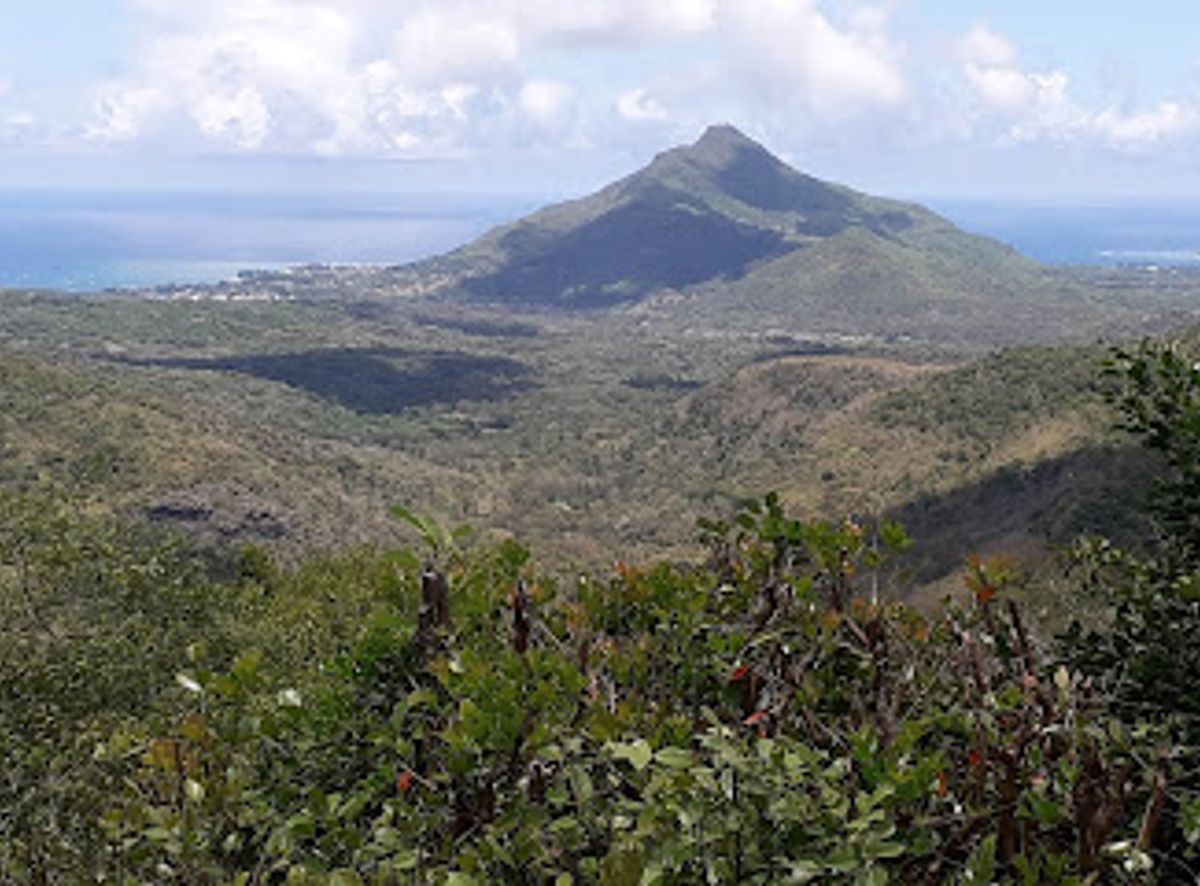 Background