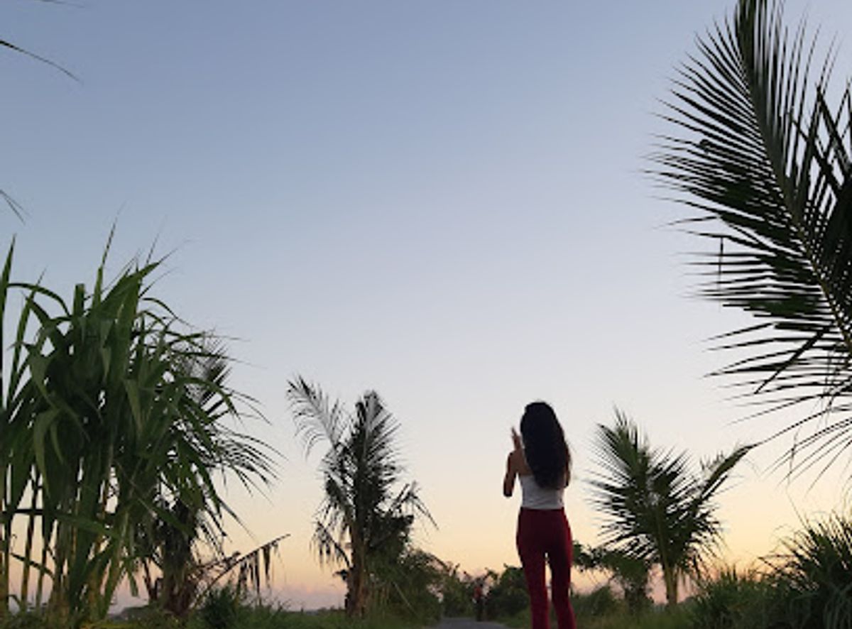 Background
