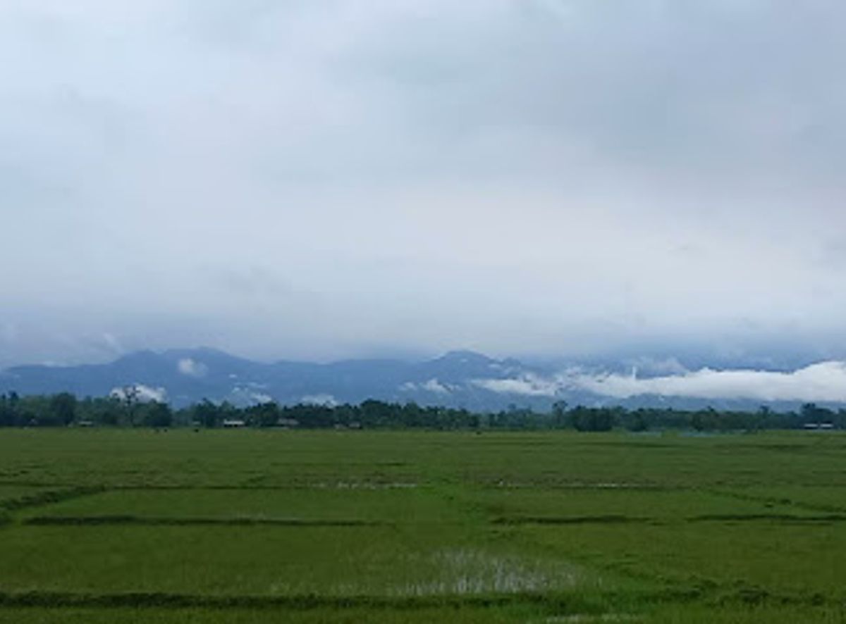 Background